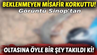 Oltayı çekince gözlerine inanamadı