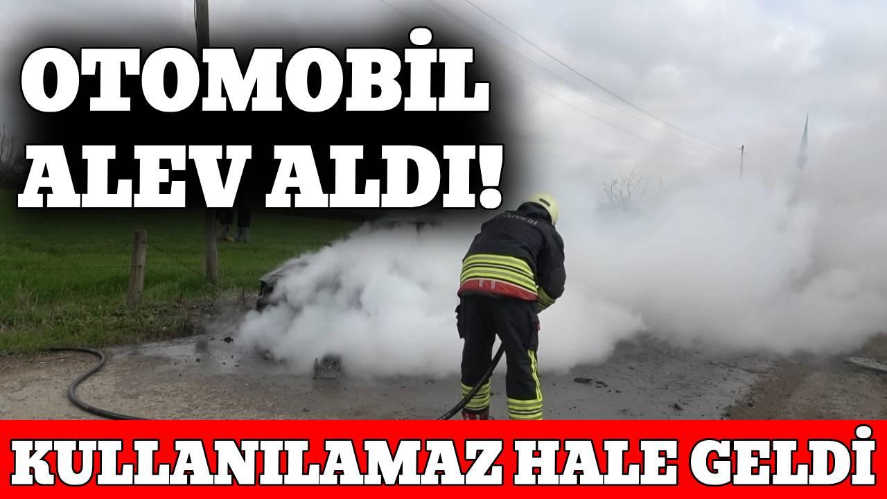 Otomobil alevlere teslim oldu