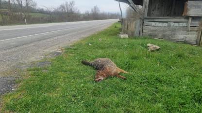 Trafikte gizli tehlike: Sürücüler uyarılıyor