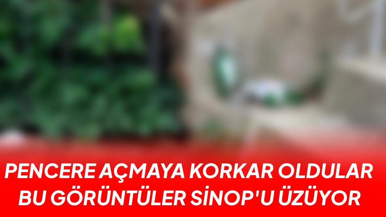 Adım başı şişe, her yer izmarit: Vatandaşlar temizlik bekliyor