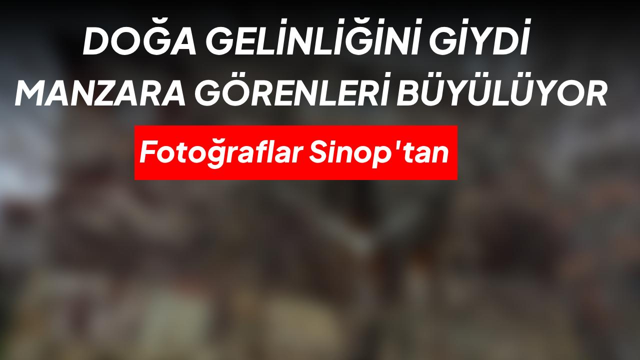 Sinop’ta erken bahar: Ağaçlar gelinlik giydi