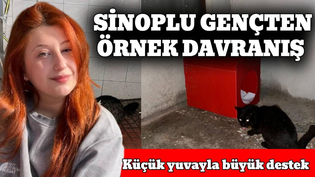 Sinop’ta duyarlı girişim