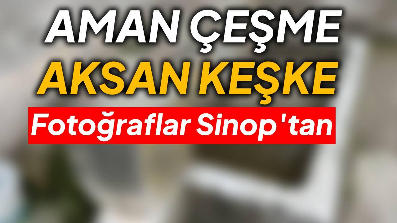 Otomatik Taslak