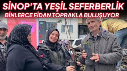 Yeşil bir Sinop için kollar sıvandı: Binlerce fidan toprakla buluşuyor