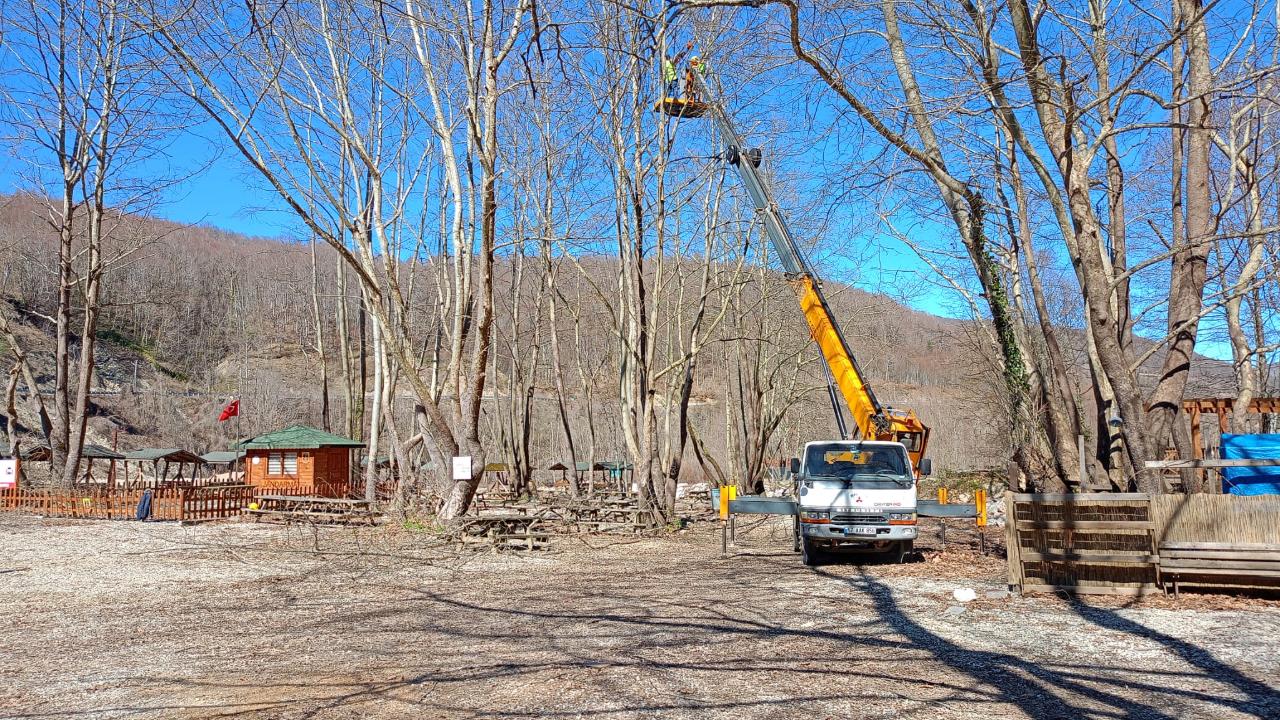 Şelale yolunda olası kazalara budama önlemi