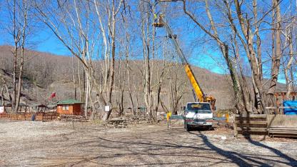 Şelale yolunda olası kazalara budama önlemi