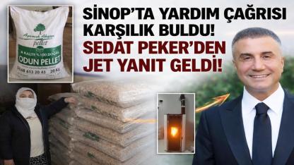 Sinoplu hamile kadının yardım çağrısına Sedat Peker’den jet yanıt