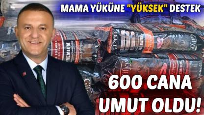 Sinoplu iş insanı Yüksek'ten sahipsiz hayvanlara büyük destek