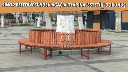 Sinop'ta ağaç altı banklar vatandaşın hizmetinde!