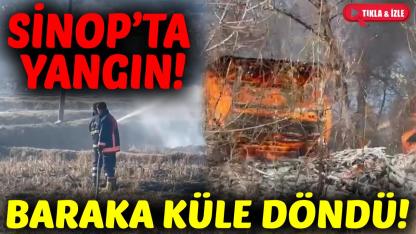 Sinop'ta anız yangını barakayı küle çevirdi