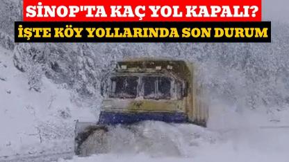 Sinop'ta çok sayıda köye ulaşım sağlanamıyor