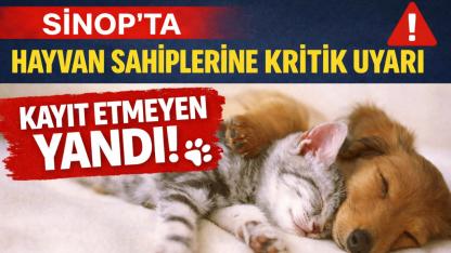 Sinop'ta evcil hayvanlar için 'çip ve aşı' çağrısı