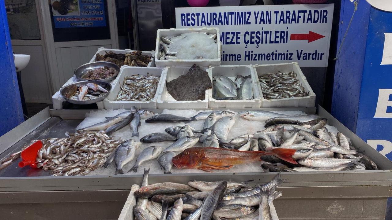 Sinop’ta güncel balık fiyatları açıklandı