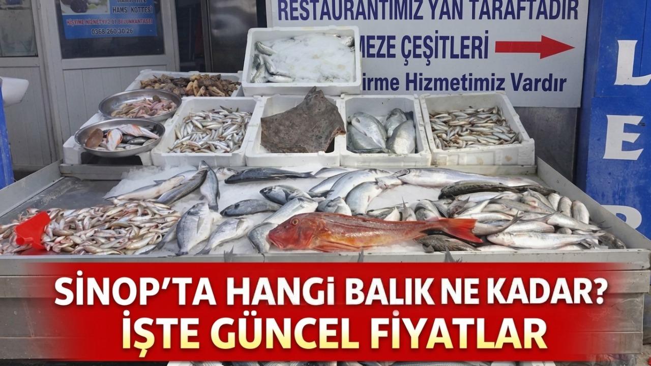 Sinop’ta güncel balık fiyatları açıklandı