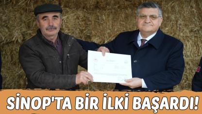 Sinop'ta hayvancılıkta kalite artıyor