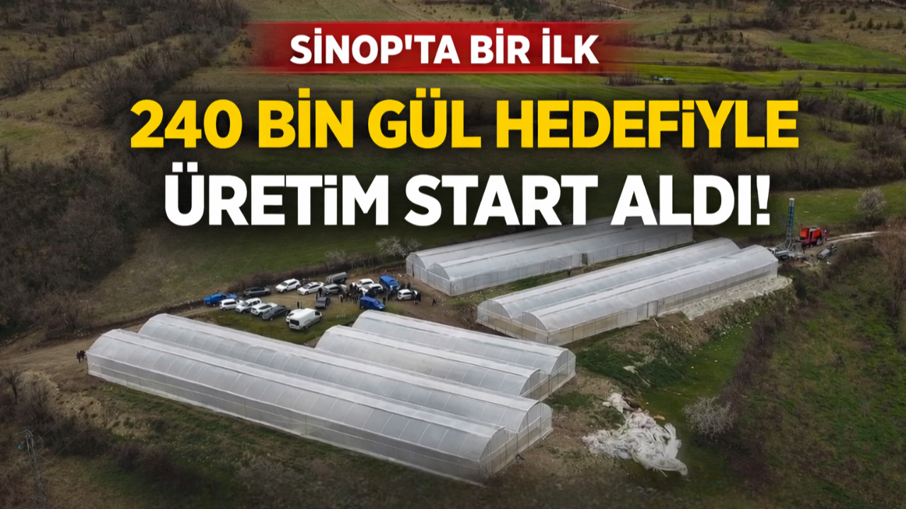 Sinop'ta kadın girişimciden 3 milyonluk tarım hamlesi
