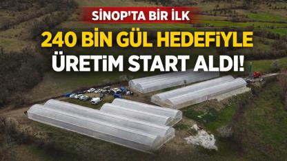 Sinop'ta kadın girişimciden 3 milyonluk tarım hamlesi