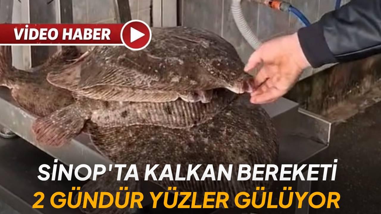 Denizden kalkan çıktı, tezgahlar şenlendi