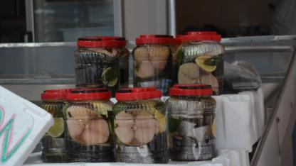 Sinop'ta Lakerdaya yoğun ilgi, fiyatlar rekor kırdı