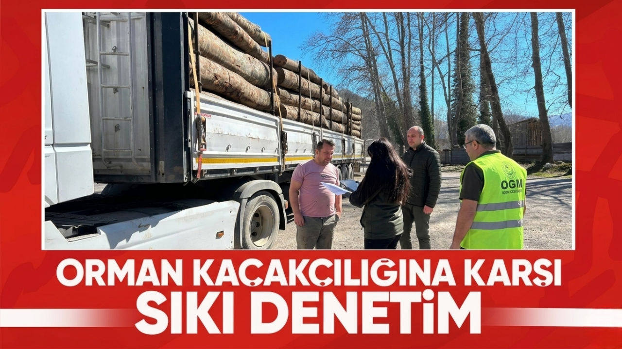 Sinop’ta ormanlara koruma kalkanı