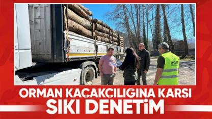 Sinop’ta ormanlara koruma kalkanı