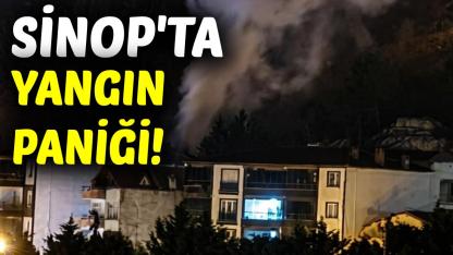 Sinop'ta yangın: Ekipler harekete geçti