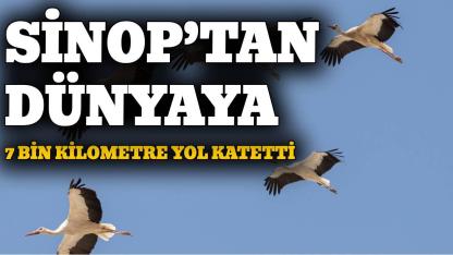 Sinop’tan gelen göç haberi