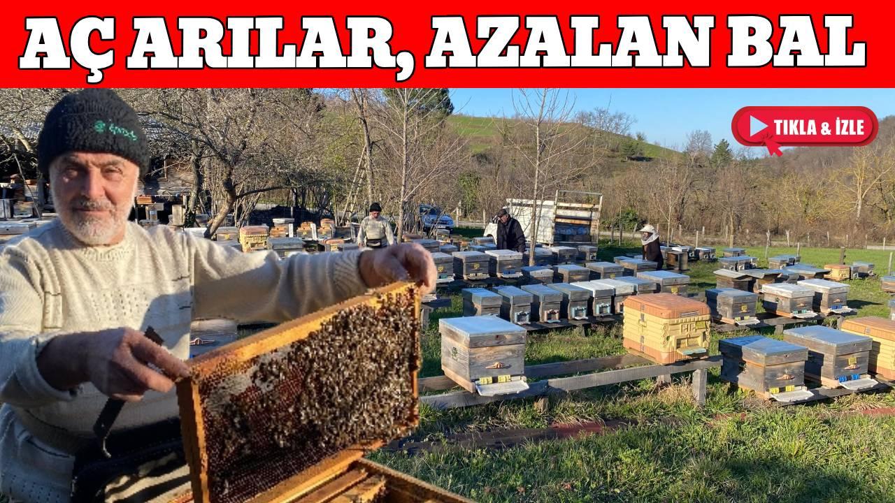 Soğuk hava kovanları vurdu