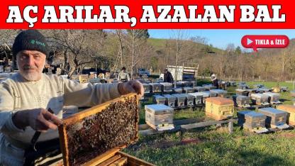 Soğuk hava kovanları vurdu