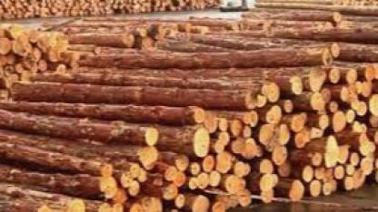 TASNİF VE DEPOLAMA DANIŞMANLIK HİZMET ALIM İŞİ