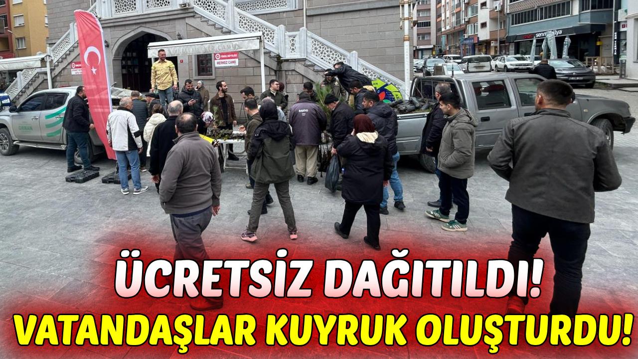 Türkeli'de fidan dağıtımına yoğun ilgi