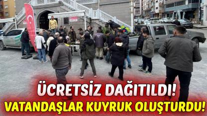 Türkeli'de fidan dağıtımına yoğun ilgi