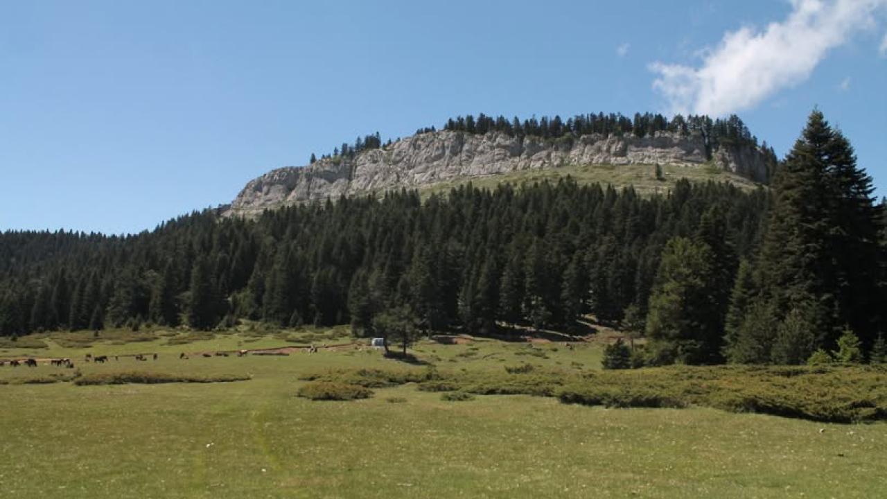 Türkeli’nin zirvesinde dostluk rüzgarı esecek