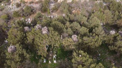 Beyşehir’de yuvalar şenlendi, leylekler vadisi canlandı