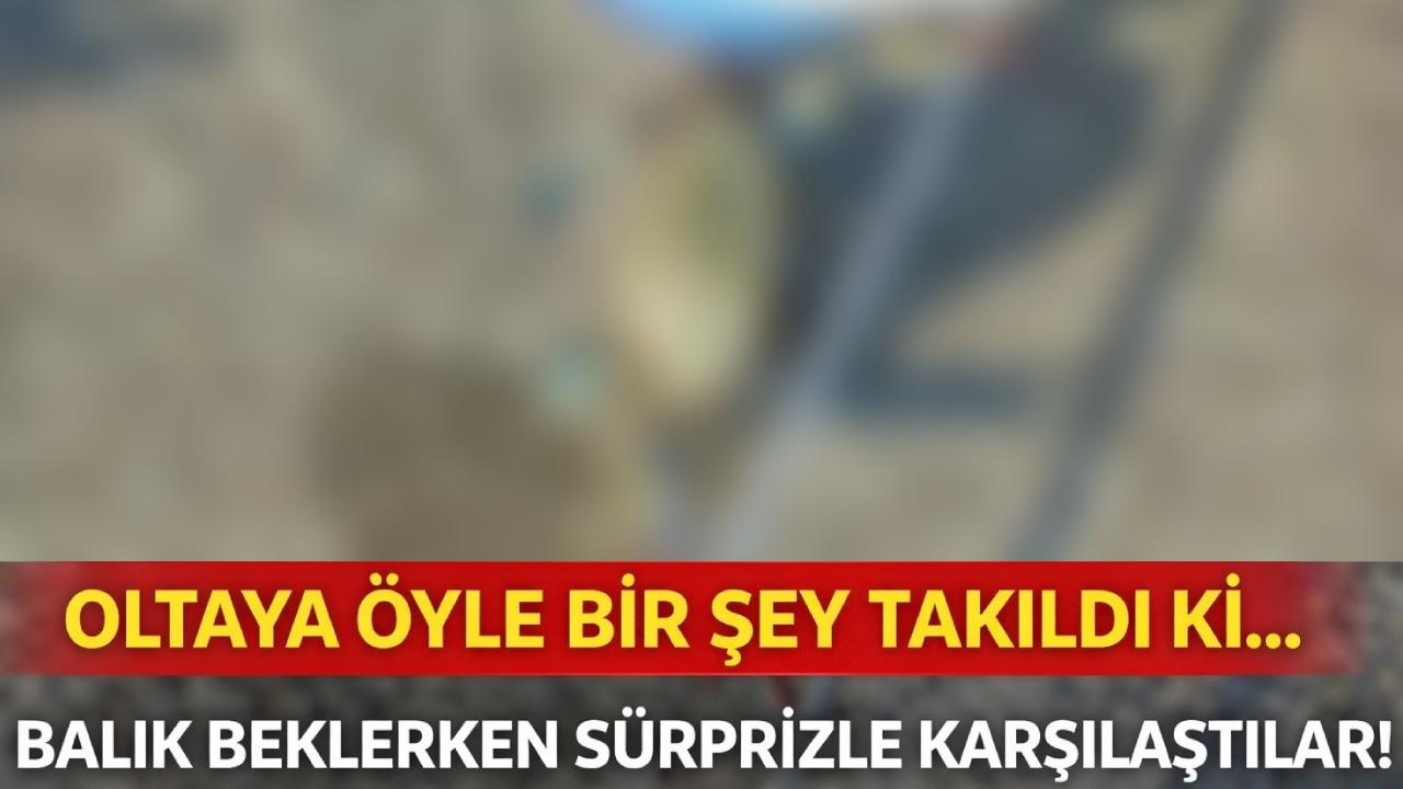 Akdeniz’in misafiri Gerze’de oltaya geldi