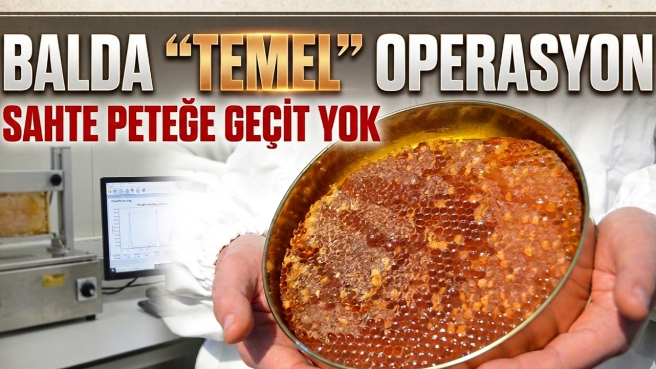 Balda hile dönemi bitti: Arının yuvasına laboratuvar takibi