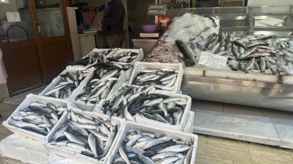 Balıkçılık av sezonu sona erdi