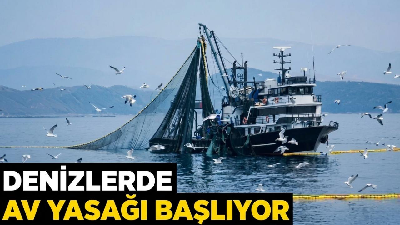 Balıkçılıkta av sezonu yarın sona eriyor