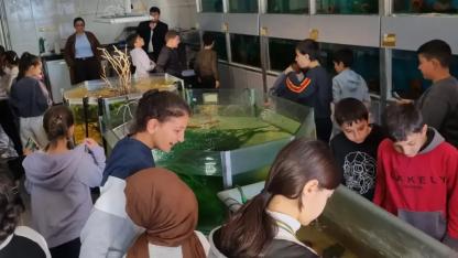 Boyabatlı öğrenciler Sinop’un zenginliklerini keşfetti