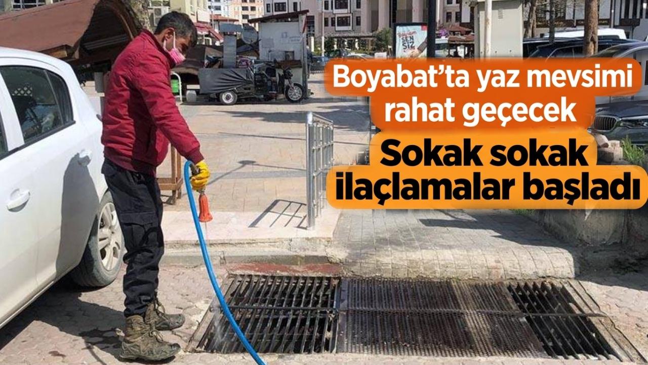 Boyabat'ta haşerelere karşı ilaçlama seferberliği