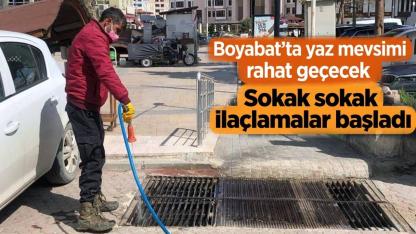 Boyabat'ta haşerelere karşı ilaçlama seferberliği