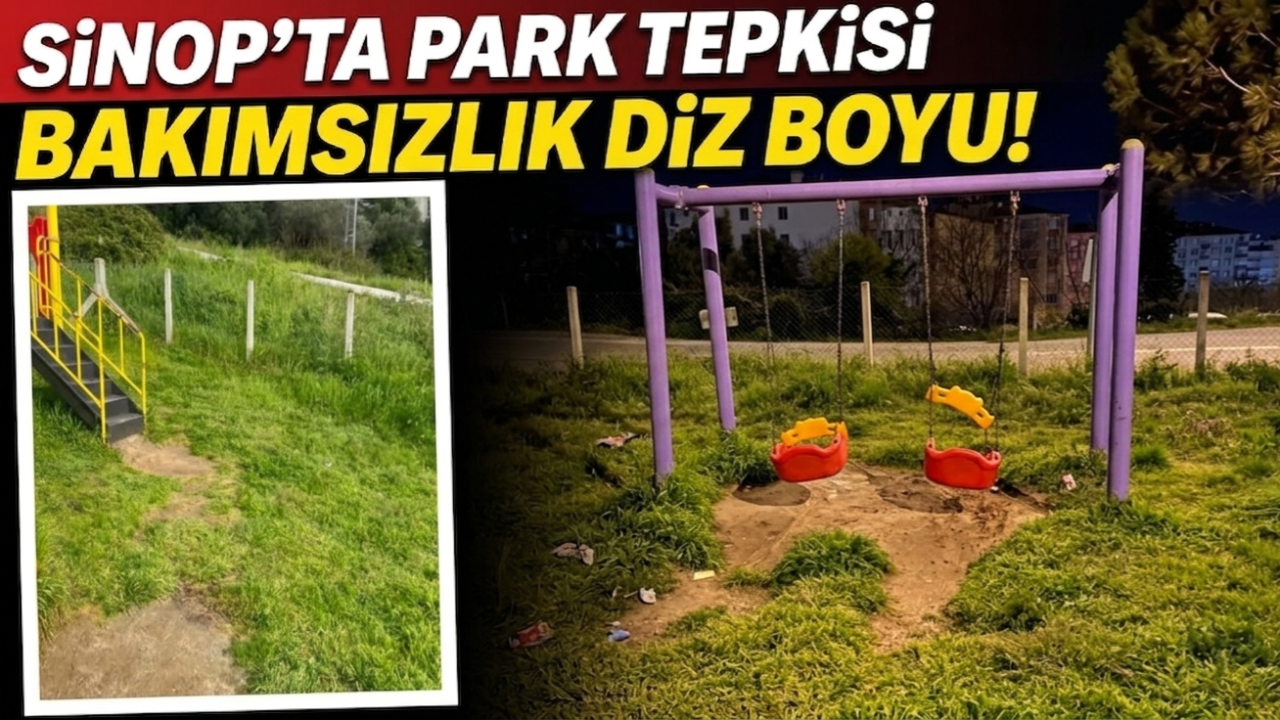 Bu parkta çocuklar nasıl oynasın?