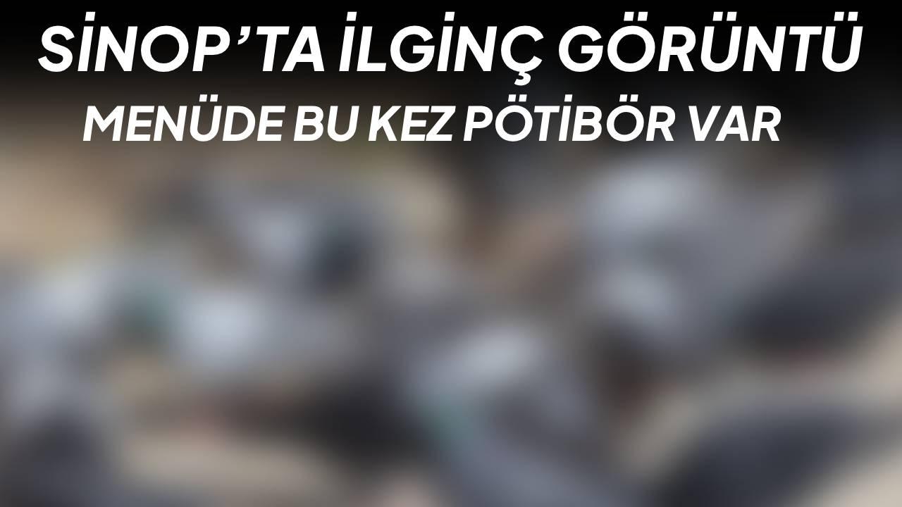 Buğdayı unuttular, bisküviye koştular: Objektiflere böyle yansıdı