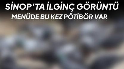 Buğdayı unuttular, bisküviye koştular: Objektiflere böyle yansıdı