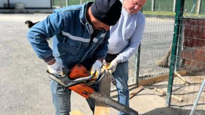 Can dostların yuvası yenileniyor