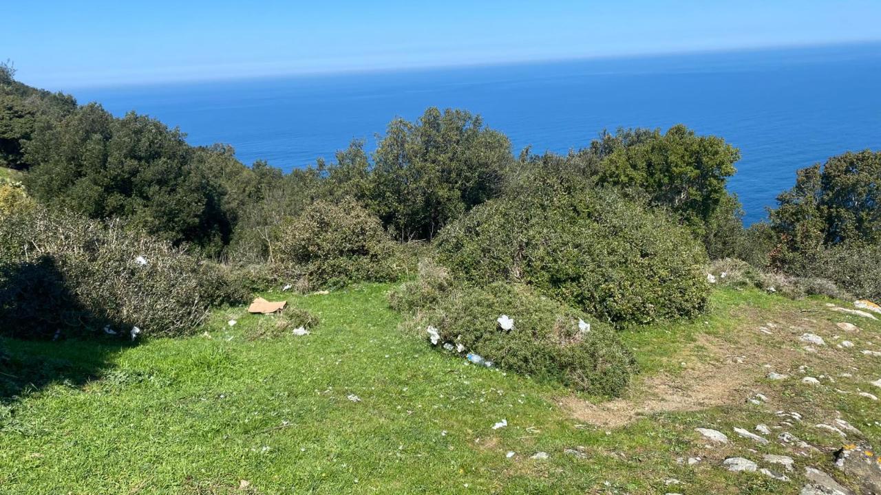 Çevre duyarsızlığı Ada Başı’nı vurdu