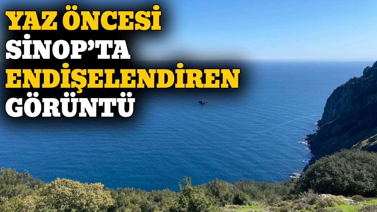 Çevre duyarsızlığı Ada Başı’nı vurdu