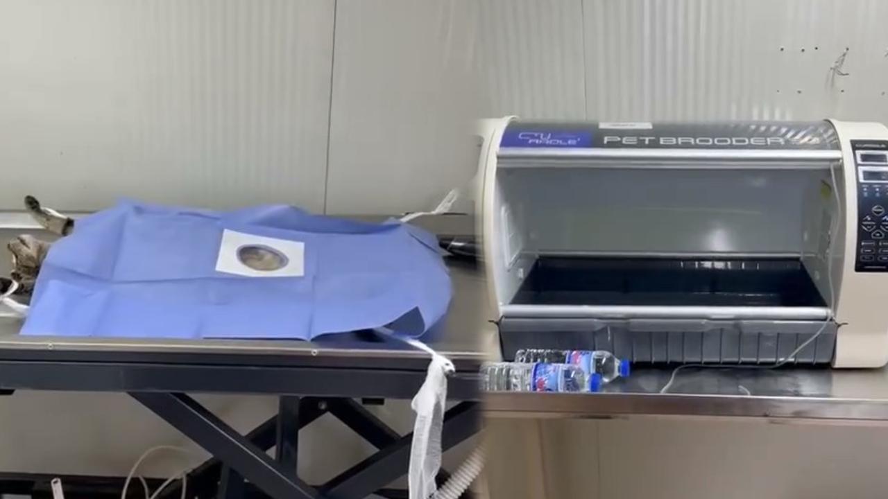 HAYTAP’tan Boyabat’taki can dostlara büyük destek