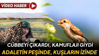 Hem savcı hem avcı: Ama sadece fotoğraf avcısı