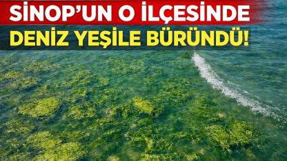 İlçede denizin rengi yeşile döndü!